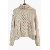 Popular Turtleneck Raglan Long Sleeve Twisted Pattern Plain Knitted Sweater