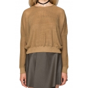 Women's Round Neck Raglan Long Sleeve Plain Casual Knit Pullover Sweater
