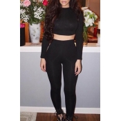 Sexy Slim Round Neck Long Sleeve Plain Cropped Top with Skinny Pants