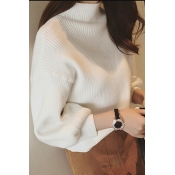 Fashion Solid Turtleneck Drop Sleeve Textured Pullover Sweater