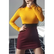 Chic Color Block High Neck Long Sleeves Slim-Fit Bodycon Pencil Mini Knitted Dress