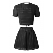 Striped Printed Hollow Out Lace Up Back Round Neck Short Sleeve with Elastic Shorts Co-ords