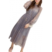 Two Pieces High Neck Star Embroidered Mesh Long Sleeve Maxi A-Line Dress