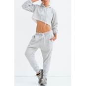 New Fashion Long Sleeve Cropped Hoodie Drawstring Waist Joggers Pants Simple Plain Sport Set for Women