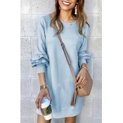 New Stylish Simple Plain Long Sleeve Round Neck Mini Shift Dress for Women