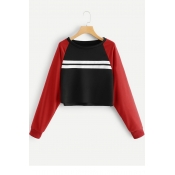 Fashionable Cropped Stripes Print Colorblock Long Sleeve Round Neck Black Pullover Sweatshirt
