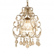 Modern Hanging Chandelier with 19.5