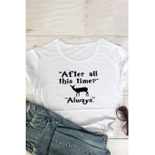 Basic Letter After All This Time Graphic Roll Up Sleeve Crew Neck Slim Fit T Shirt for Women