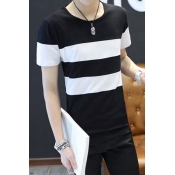 Leisure Men's Tee Top Stripe Pattern Contrast Panel Round Neck Short Sleeves Regular Fitted T-Shirt