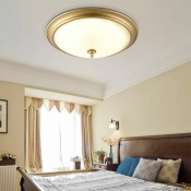 Traditional Ceiling Lights with Opal White Glass Shade LED Ceiling Lamp