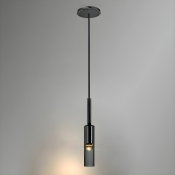 Modern Clear Glass Pendant Light with Adjustable Hanging Length and Black Metal