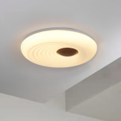 Round  Modern Simple Style 1 Light Iron Flushmount  Ceiling Light with Direct Wired Electric for Living Room