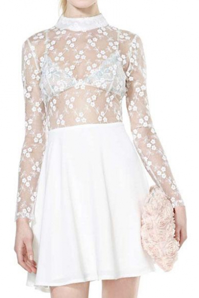 Semi Sheer Lace Insert Mini Dress with Long Sleeve