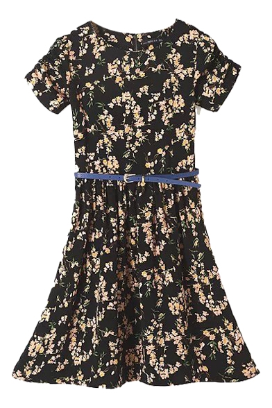 Floral Print Short Sleeve Belted Pleated Dress