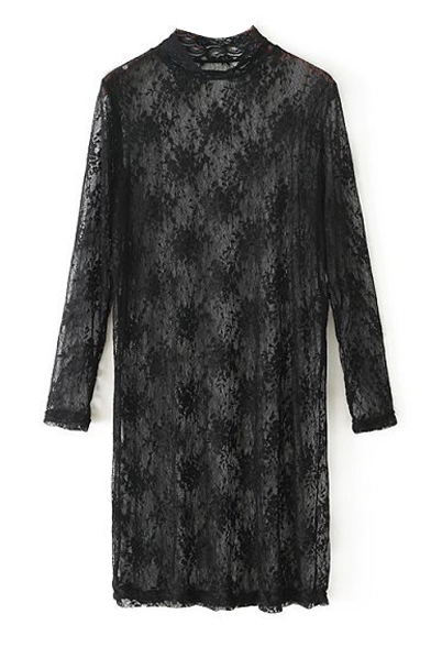 Illusion Style High Collar Plain Lace Flower Crocheted Long Sleeve Dress