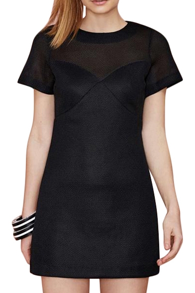Sexy Sheer Panel Top Short Sleeve Slim Black Dress