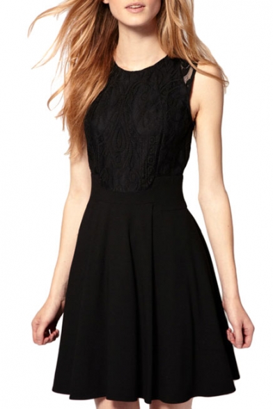 Black Lace Insert Sleeveless Pleated Dress