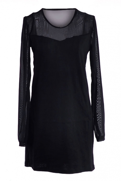 Black Long Sleeve Sheer Net Insert Dress