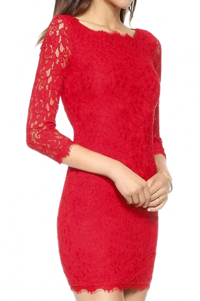 Attractive Zip Back Skinny Lace Dress with 3/4 Length Long Sleeve ...