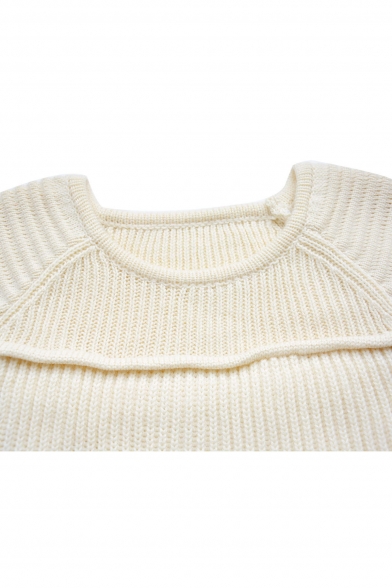 Plain Raglan Sleeve Round Neck Laid Back Sweater