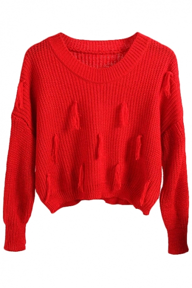 Plain Long Sleeve Tassel Decoration Crop Sweater