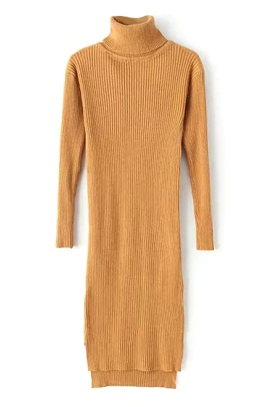 Turtleneck Long Sleeve Plain Long Sweater