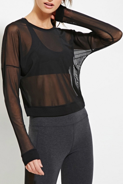 Round Neck Batwing Long Sleeve Cropped Plain Sheer Tee