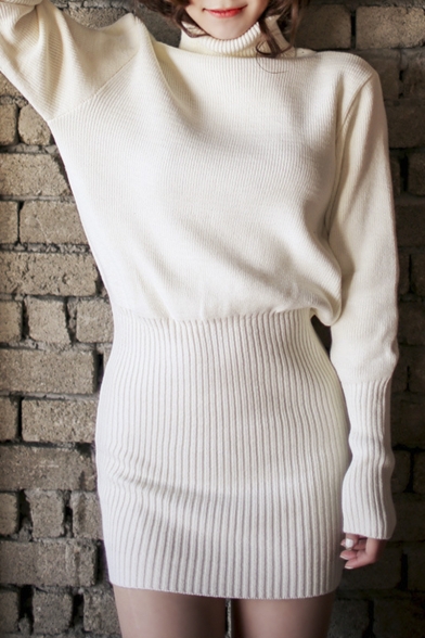 Turtleneck Long Sleeve Plain Bodycon Knit Mini Dress