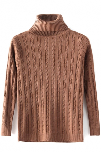 Turtleneck Long Sleeve Cable Knit Plain Sweater
