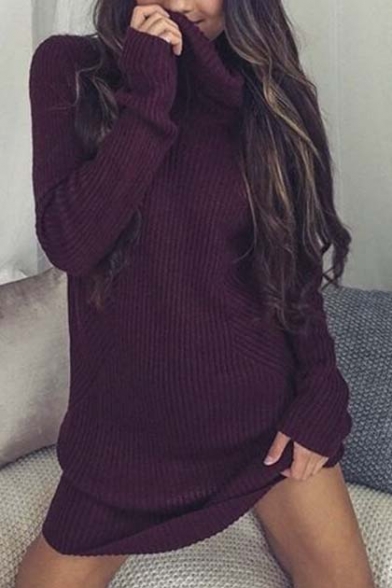 Sexy Plain High Neck Long Sleeve Mini Bodycon Knitted Dress