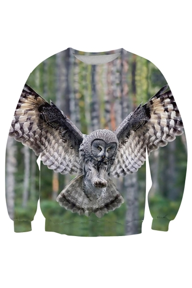 Cool Eagle Print Color Block Round Neck Pullover Sweatshirt