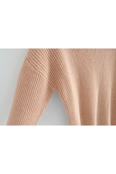Ne Stylish Turtle Long Sleeve Simple Plain Loose Pullover Sweater