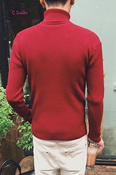 Simple Plain Turtleneck Long Sleeve Pullover Sweater