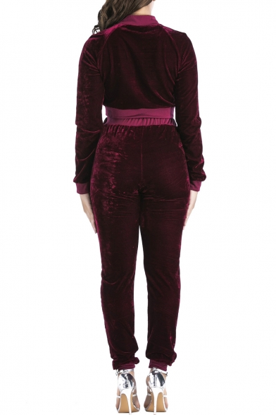 Stand-up Collar Long Sleeves Cropped Zippered Top with Elastic Waist Slim-Fit Pants Pleuche Co-ords