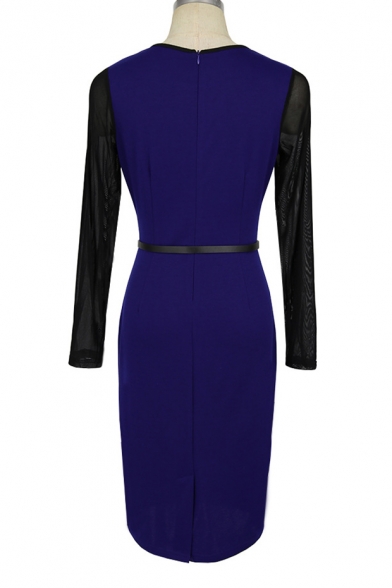 Chic Color Block Mesh Panel Long Sleeve Round Neck Belted Waist Dress