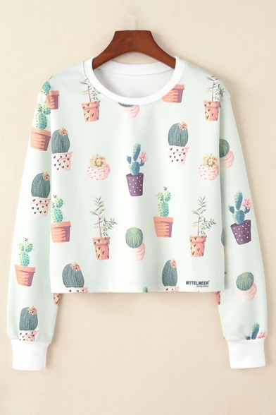 Cactus Sweatshirt Flash Sales, UP TO 56% OFF | www.aramanatural.es