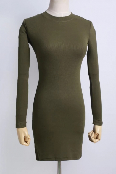 Retro Turtleneck Long Sleeve Simple Plain Slim Fitted Mini Dress