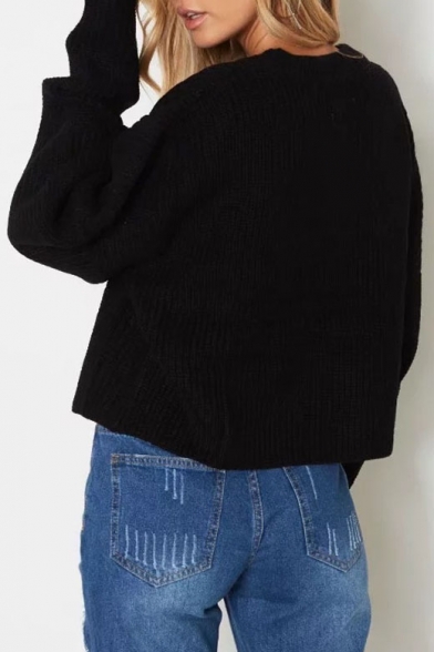 Simple Crew Neck Long Sleeves Ribbed Knitted Pullover Sweater