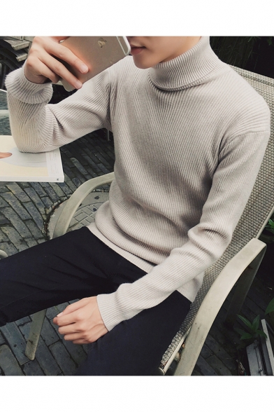 Simple Plain Turtleneck Long Sleeve Pullover Sweater