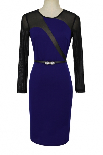 Chic Color Block Mesh Panel Long Sleeve Round Neck Belted Waist Dress