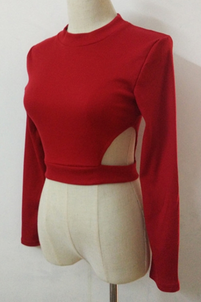 Chic Hollow Out Round Neck Long Sleeve Cropped Pullover Sweater