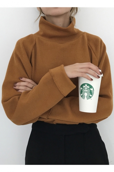 Chic Simple Plain High Neck Long Sleeve Loose Pullover Sweater