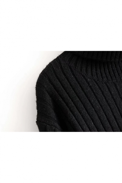 Simple Plain Cuff Panel Turtleneck Long Sleeve Pullover Sweater