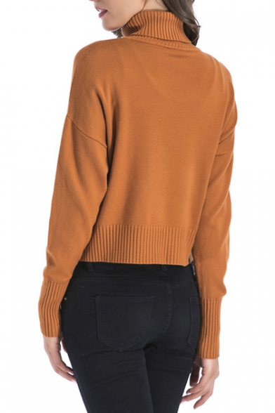Simple Plain Long Sleeve Turtleneck Pullover Sweater with Pocket