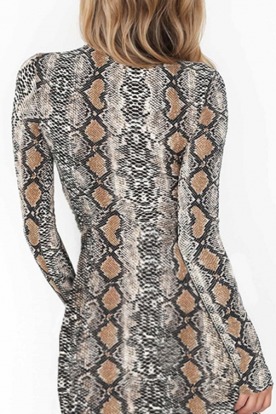 Fancy Snake Pattern High Neck Long Sleeves Mini Bodycon Dress