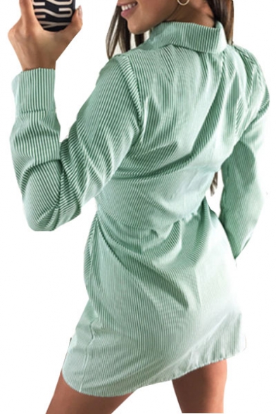 Striped Printed Lapel Collar Long Sleeve Tie Front Mini Shirt Dress
