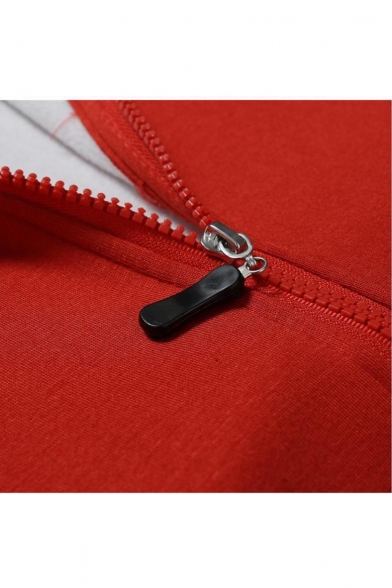 Color Block Stand Collar Raglan Sleeve Zip Up Slim Jacket