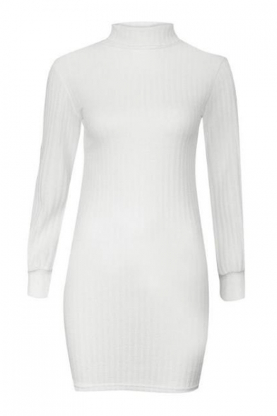 High Neck Long Sleeve Knit Slim Mini Sweater Dress