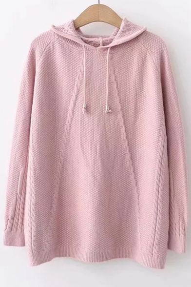 Chic Long Sleeve Knitting Twist Plain Leisure Hooded Sweater