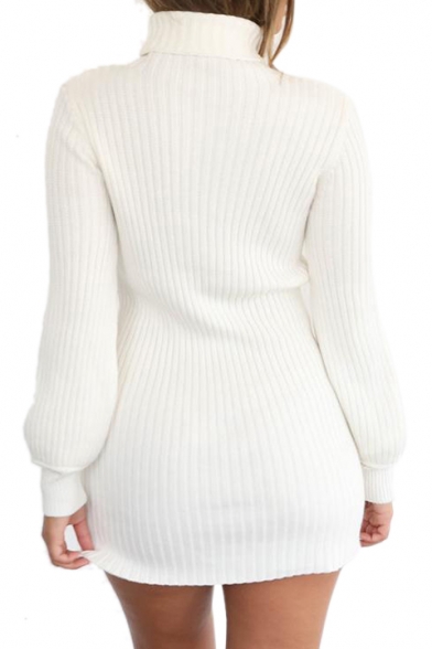High Neck Long Sleeve Knit Slim Mini Sweater Dress